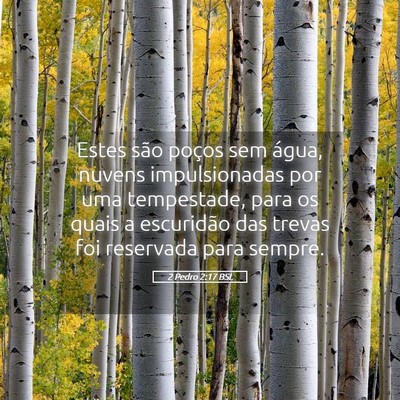 Picture 05 - 2 Pedro 2:17 BSL - Estes são poços sem água, nuvens impulsionadas - Bible Verse Picture