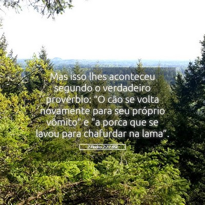 Picture 05 - 2 Pedro 2:22 BSL - Mas isso lhes aconteceu segundo o verdadeiro - Bible Verse Picture