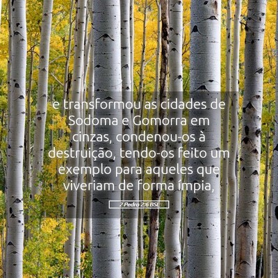 Picture 05 - 2 Pedro 2:6 BSL - e transformou as cidades de Sodoma e Gomorra em - Bible Verse Picture