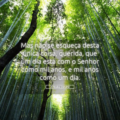 Picture 05 - 2 Pedro 3:8 BSL - Mas não se esqueça desta única coisa, querida, - Bible Verse Picture