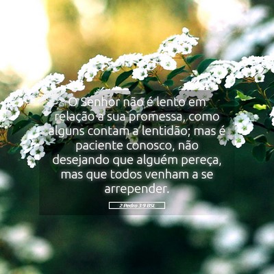 Picture 05 - 2 Pedro 3:9 BSL - O Senhor não é lento em relação a sua - Bible Verse Picture