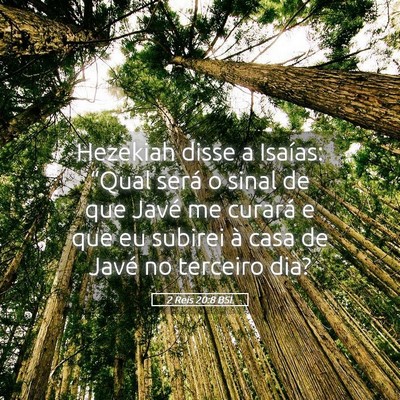 Picture 05 - 2 Reis 20:8 BSL - Hezekiah disse a Isaías: “Qual será o sinal - Bible Verse Picture