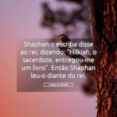 Picture 05 - 2 Reis 22:10 BSL - Shaphan o escriba disse ao rei, dizendo: - Bible Verse Picture