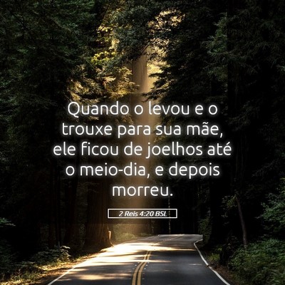 Picture 05 - 2 Reis 4:20 BSL - Quando o levou e o trouxe para sua mãe, ele - Bible Verse Picture