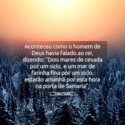 Picture 05 - 2 Reis 7:18 BSL - Aconteceu como o homem de Deus havia falado ao - Bible Verse Picture