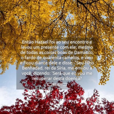 Picture 05 - 2 Reis 8:9 BSL - Então Hazael foi ao seu encontro e levou um - Bible Verse Picture