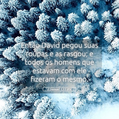 Picture 05 - 2 Samuel 1:11 BSL - Então David pegou suas roupas e as rasgou; e - Bible Verse Picture