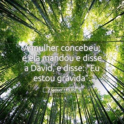 Picture 05 - 2 Samuel 11:5 BSL - A mulher concebeu; e ela mandou e disse a David, - Bible Verse Picture