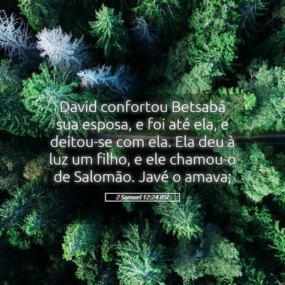 Picture 05 - 2 Samuel 12:24 BSL - David confortou Betsabá sua esposa, e foi até - Bible Verse Picture