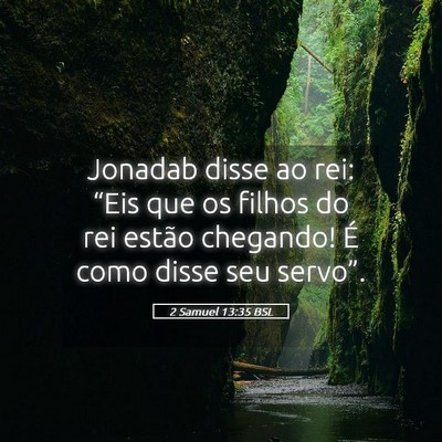 Picture 05 - 2 Samuel 13:35 BSL - Jonadab disse ao rei: “Eis que os filhos do rei - Bible Verse Picture