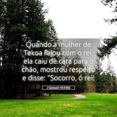 Picture 05 - 2 Samuel 14:4 BSL - Quando a mulher de Tekoa falou com o rei, ela - Bible Verse Picture