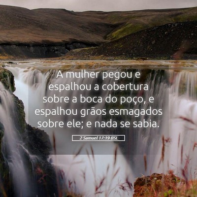 Picture 05 - 2 Samuel 17:19 BSL - A mulher pegou e espalhou a cobertura sobre a - Bible Verse Picture
