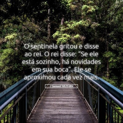 Picture 05 - 2 Samuel 18:25 BSL - O sentinela gritou e disse ao rei. O rei disse: - Bible Verse Picture