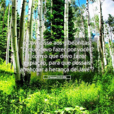 Picture 05 - 2 Samuel 21:3 BSL - e Davi disse aos gibeonitas: “O que devo fazer - Bible Verse Picture