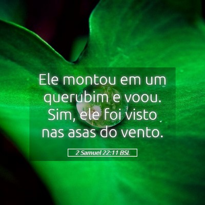 Picture 05 - 2 Samuel 22:11 BSL - Ele montou em um querubim e voou. Sim, ele foi - Bible Verse Picture
