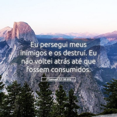 Picture 05 - 2 Samuel 22:38 BSL - Eu persegui meus inimigos e os destruí. Eu não - Bible Verse Picture