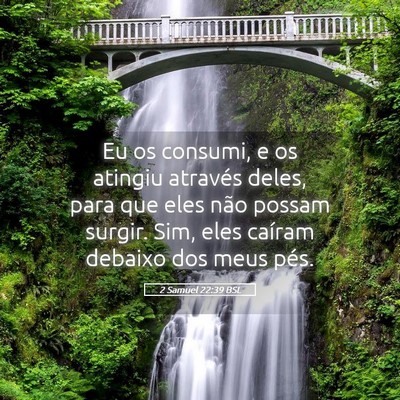 Picture 05 - 2 Samuel 22:39 BSL - Eu os consumi, e os atingiu através deles, para - Bible Verse Picture