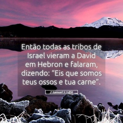 Picture 05 - 2 Samuel 5:1 BSL - Então todas as tribos de Israel vieram a David - Bible Verse Picture