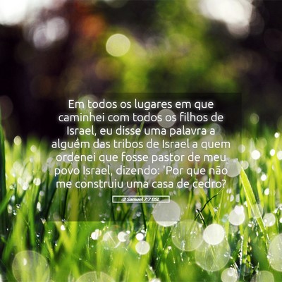 Picture 05 - 2 Samuel 7:7 BSL - Em todos os lugares em que caminhei com todos os - Bible Verse Picture