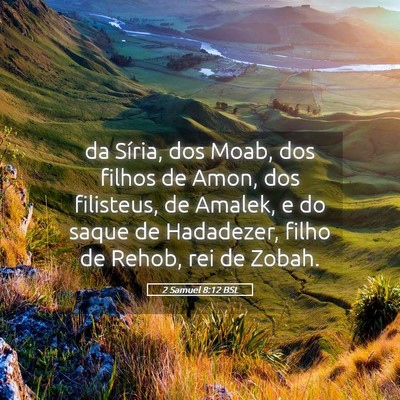 Picture 05 - 2 Samuel 8:12 BSL - da Síria, dos Moab, dos filhos de Amon, dos - Bible Verse Picture