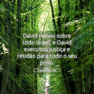 Picture 05 - 2 Samuel 8:15 BSL - David reinou sobre todo Israel; e David executou - Bible Verse Picture