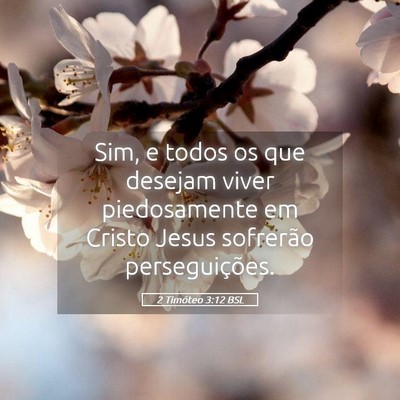 Picture 05 - 2 Timóteo 3:12 BSL - Sim, e todos os que desejam viver piedosamente em - Bible Verse Picture