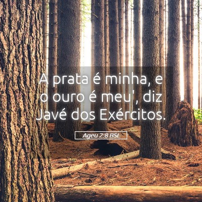 Picture 05 - Ageu 2:8 BSL - A prata é minha, e o ouro é meu', diz Javé dos - Bible Verse Picture