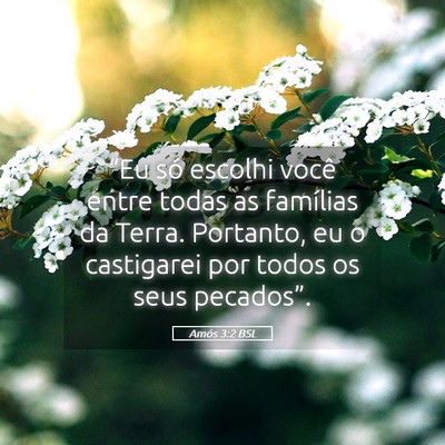 Picture 05 - Amós 3:2 BSL - “Eu só escolhi você entre todas as famílias - Bible Verse Picture