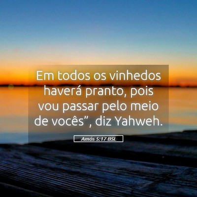 Picture 05 - Amós 5:17 BSL - Em todos os vinhedos haverá pranto, pois vou - Bible Verse Picture