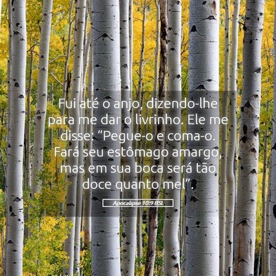 Picture 05 - Apocalipse 10:9 BSL - Fui até o anjo, dizendo-lhe para me dar o - Bible Verse Picture