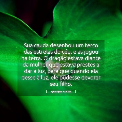 Picture 05 - Apocalipse 12:4 BSL - Sua cauda desenhou um terço das estrelas do - Bible Verse Picture