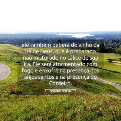 Picture 05 - Apocalipse 14:10 BSL - ele também beberá do vinho da ira de Deus, que - Bible Verse Picture