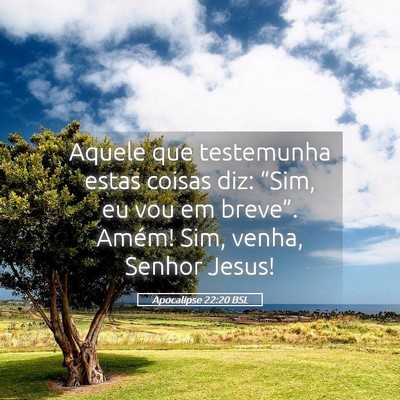 Picture 05 - Apocalipse 22:20 BSL - Aquele que testemunha estas coisas diz: “Sim, - Bible Verse Picture