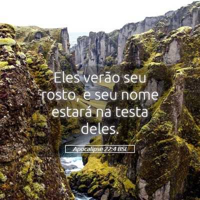 Picture 05 - Apocalipse 22:4 BSL - Eles verão seu rosto, e seu nome estará na - Bible Verse Picture