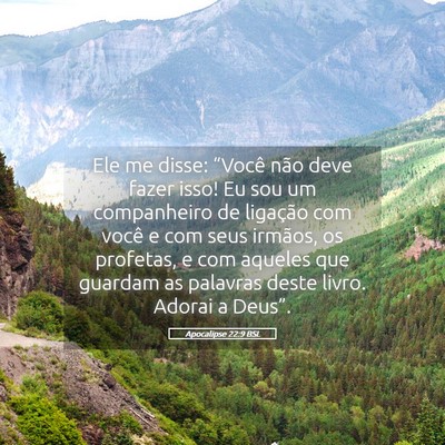 Picture 05 - Apocalipse 22:9 BSL - Ele me disse: “Você não deve fazer isso! Eu - Bible Verse Picture