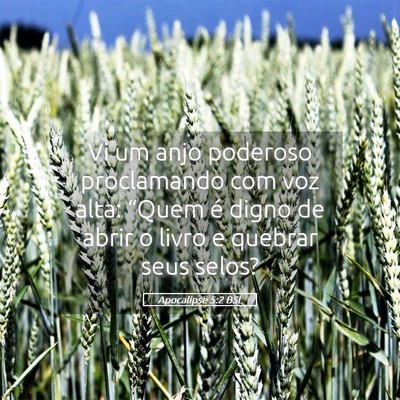 Picture 05 - Apocalipse 5:2 BSL - Vi um anjo poderoso proclamando com voz alta: - Bible Verse Picture