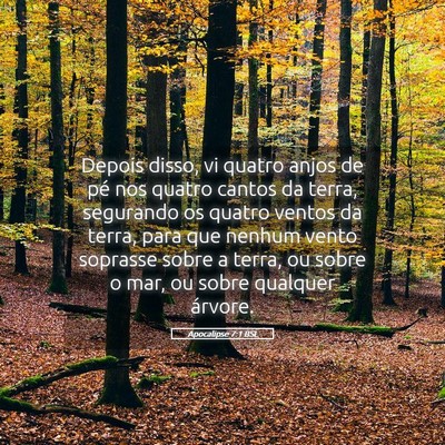 Picture 05 - Apocalipse 7:1 BSL - Depois disso, vi quatro anjos de pé nos quatro - Bible Verse Picture
