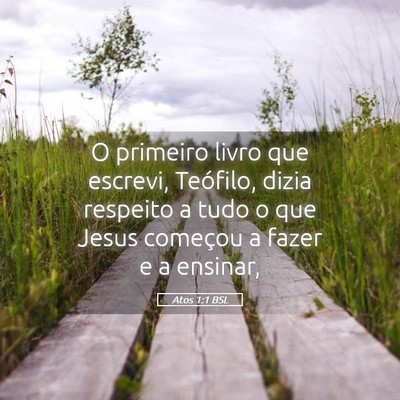 Picture 05 - Atos 1:1 BSL - O primeiro livro que escrevi, Teófilo, dizia - Bible Verse Picture