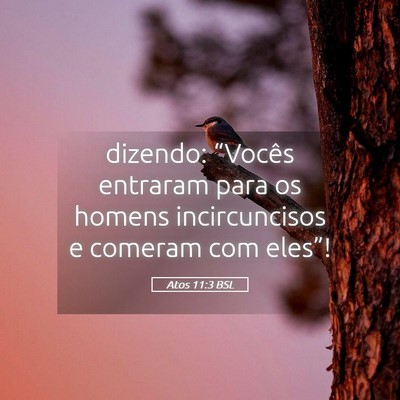 Picture 05 - Atos 11:3 BSL - dizendo: “Vocês entraram para os homens - Bible Verse Picture
