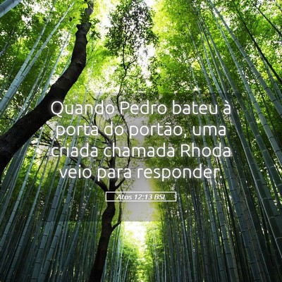 Picture 05 - Atos 12:13 BSL - Quando Pedro bateu à porta do portão, uma - Bible Verse Picture