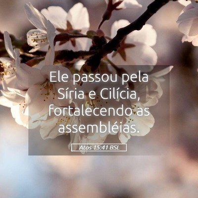 Picture 05 - Atos 15:41 BSL - Ele passou pela Síria e Cilícia, fortalecendo - Bible Verse Picture