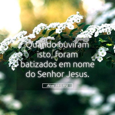 Picture 05 - Atos 19:5 BSL - Quando ouviram isto, foram batizados em nome do - Bible Verse Picture