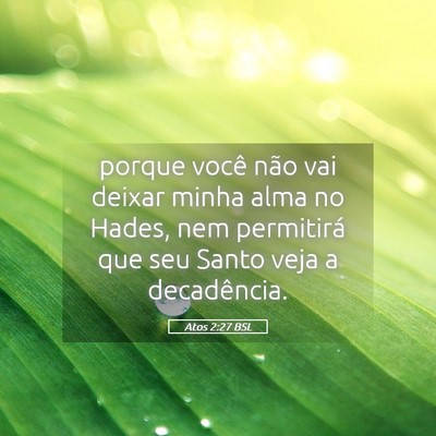Picture 05 - Atos 2:27 BSL - porque você não vai deixar minha alma no Hades, - Bible Verse Picture