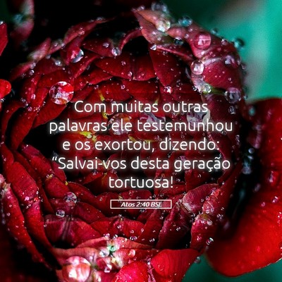 Picture 05 - Atos 2:40 BSL - Com muitas outras palavras ele testemunhou e os - Bible Verse Picture