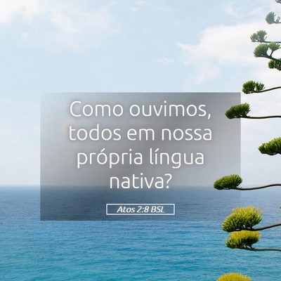 Picture 05 - Atos 2:8 BSL - Como ouvimos, todos em nossa própria língua - Bible Verse Picture