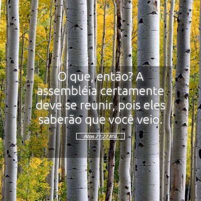 Picture 05 - Atos 21:22 BSL - O que, então? A assembléia certamente deve se - Bible Verse Picture