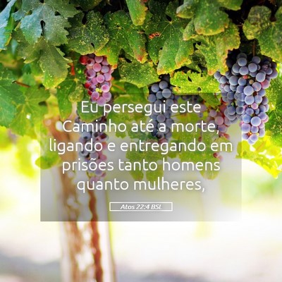 Picture 05 - Atos 22:4 BSL - Eu persegui este Caminho até a morte, ligando e - Bible Verse Picture