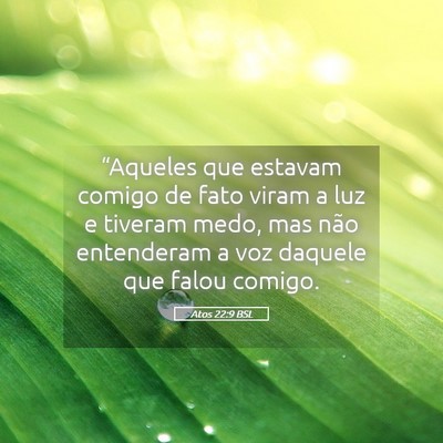 Picture 05 - Atos 22:9 BSL - “Aqueles que estavam comigo de fato viram a luz - Bible Verse Picture