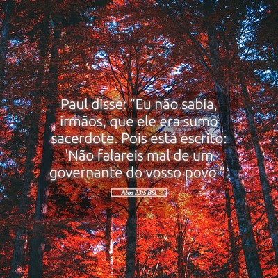 Picture 05 - Atos 23:5 BSL - Paul disse: “Eu não sabia, irmãos, que ele - Bible Verse Picture