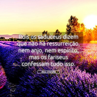 Picture 05 - Atos 23:8 BSL - Pois os saduceus dizem que não há - Bible Verse Picture